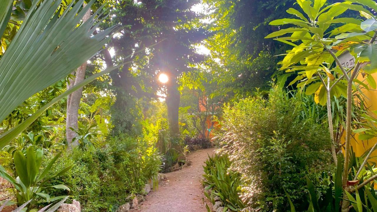 Gardenhotel Macan Che B&B Izamal Zewnętrze zdjęcie